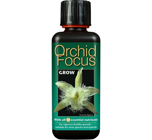 Orchid Focus Grow1 l Великобритания фото